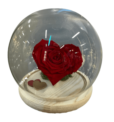 Cúpula redonda rosa corazón