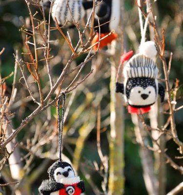 Pinguin 1 6x6xcm Mixtos