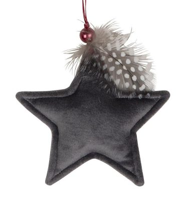 Star Plume 11x11cm Gris