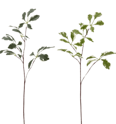 Rama ficus artificial