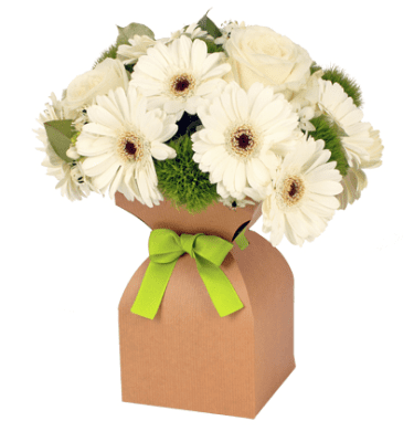 Base acuática kraft