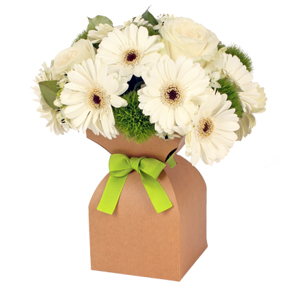 Base acuática kraft