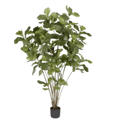 Ficus lyrata artificial
