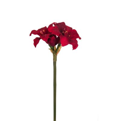 Amaryllis Granate artificial