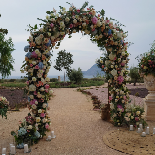 Alquiler arco ovalado madera