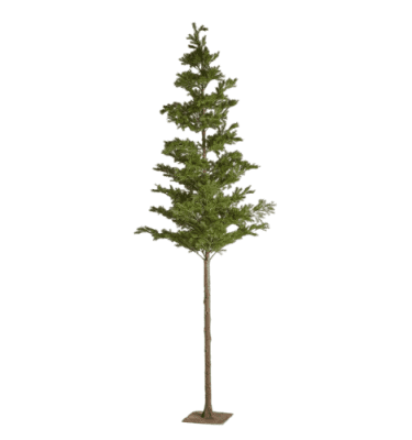 Pino Picea artificial