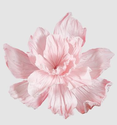 Peonía colgante gigante