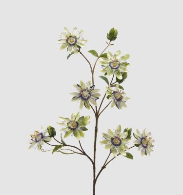 Pasionaria verde con hojas