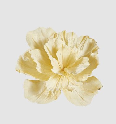 Peonía colgante gigante amarilla