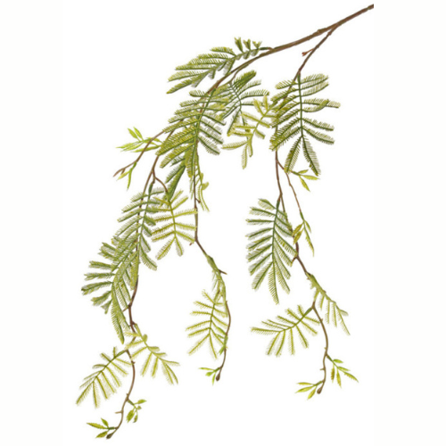 Hojas mimosa artificial