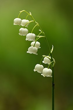Stacked from 69 images